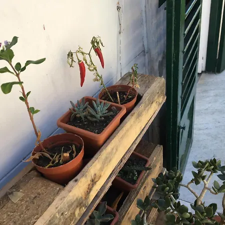Fraleporte Bed and breakfast